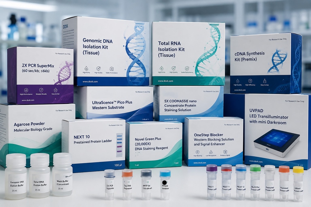 [QPR02-0100] PanProbesTM One-Step RT-qPCR Kit UNG, 100 rxns/kit