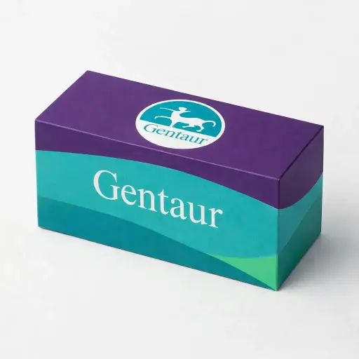 Double Stage Vacuum Pump