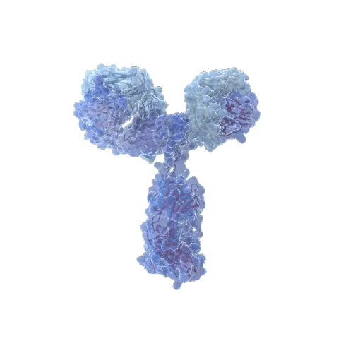 Human PAEP Antibody Pair - BSA and Azide free (Glycodelin)