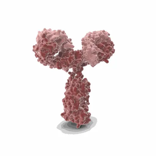 [GEN-ANTI-11] Gentaur ATTO 594 Antibody